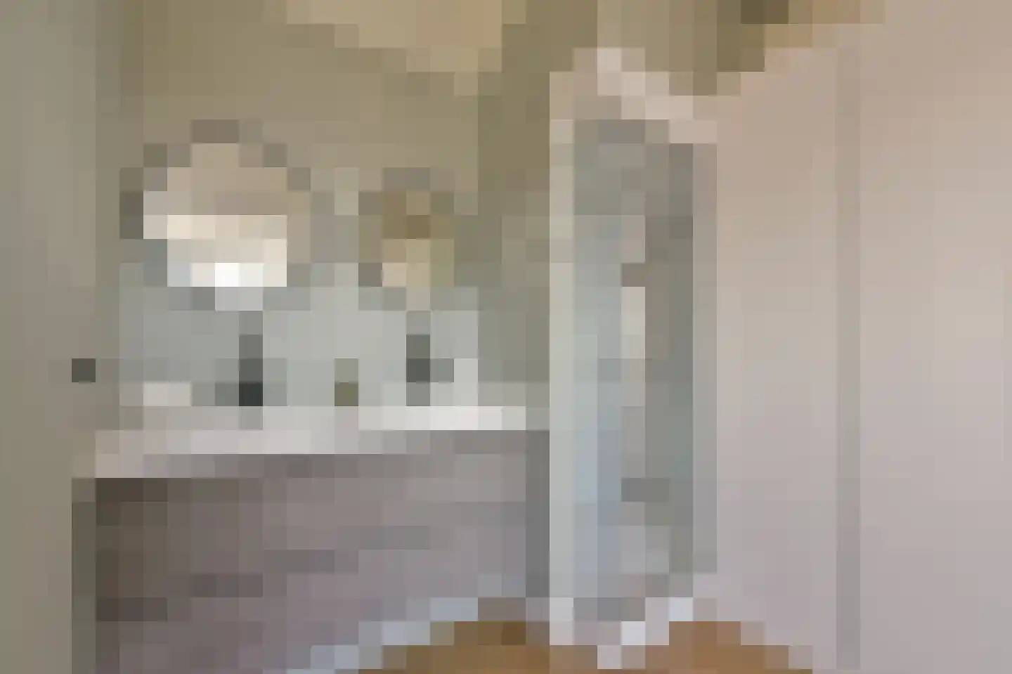 Waterpeil 52 Wilnis thumbnail 39
