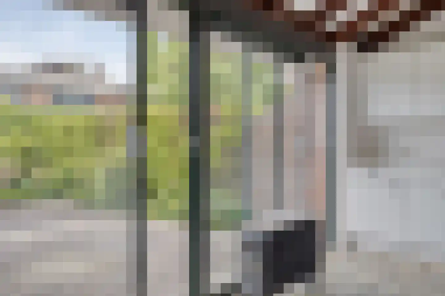 Waterpeper 21 Gouda thumbnail 10