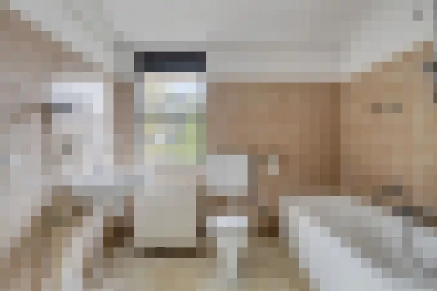 Waterpeper 21 Gouda thumbnail 18