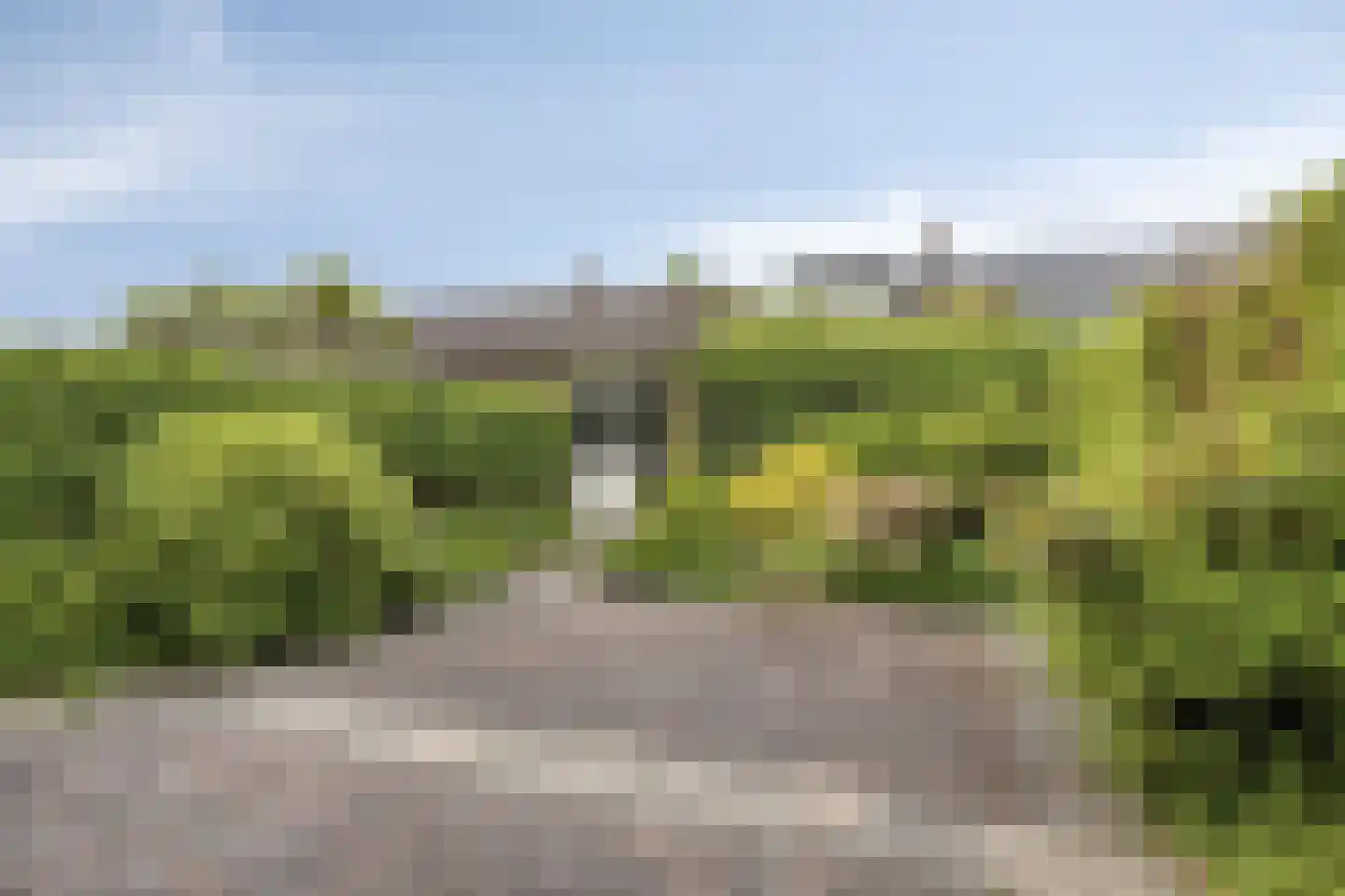 Waterpeper 21 Gouda thumbnail 22
