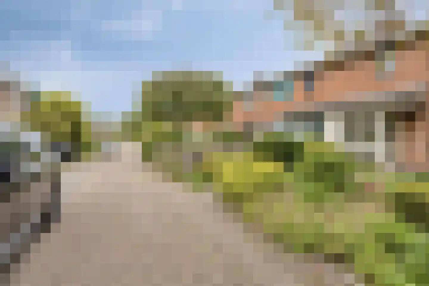 Waterpeper 21 Gouda thumbnail 26