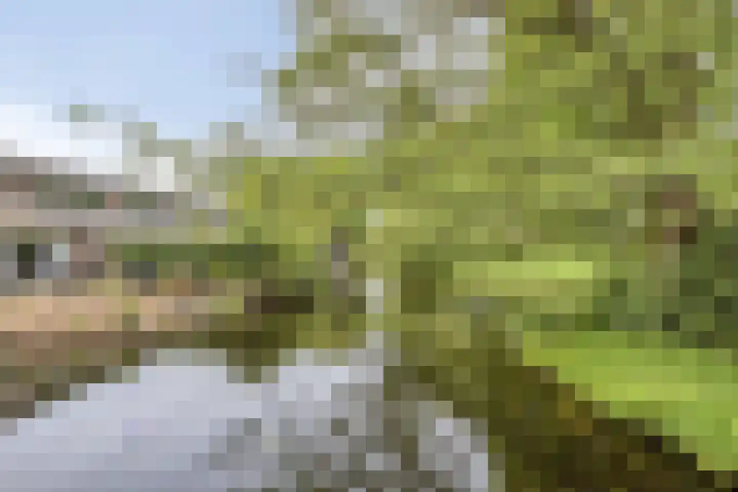 Waterpeper 21 Gouda thumbnail 28