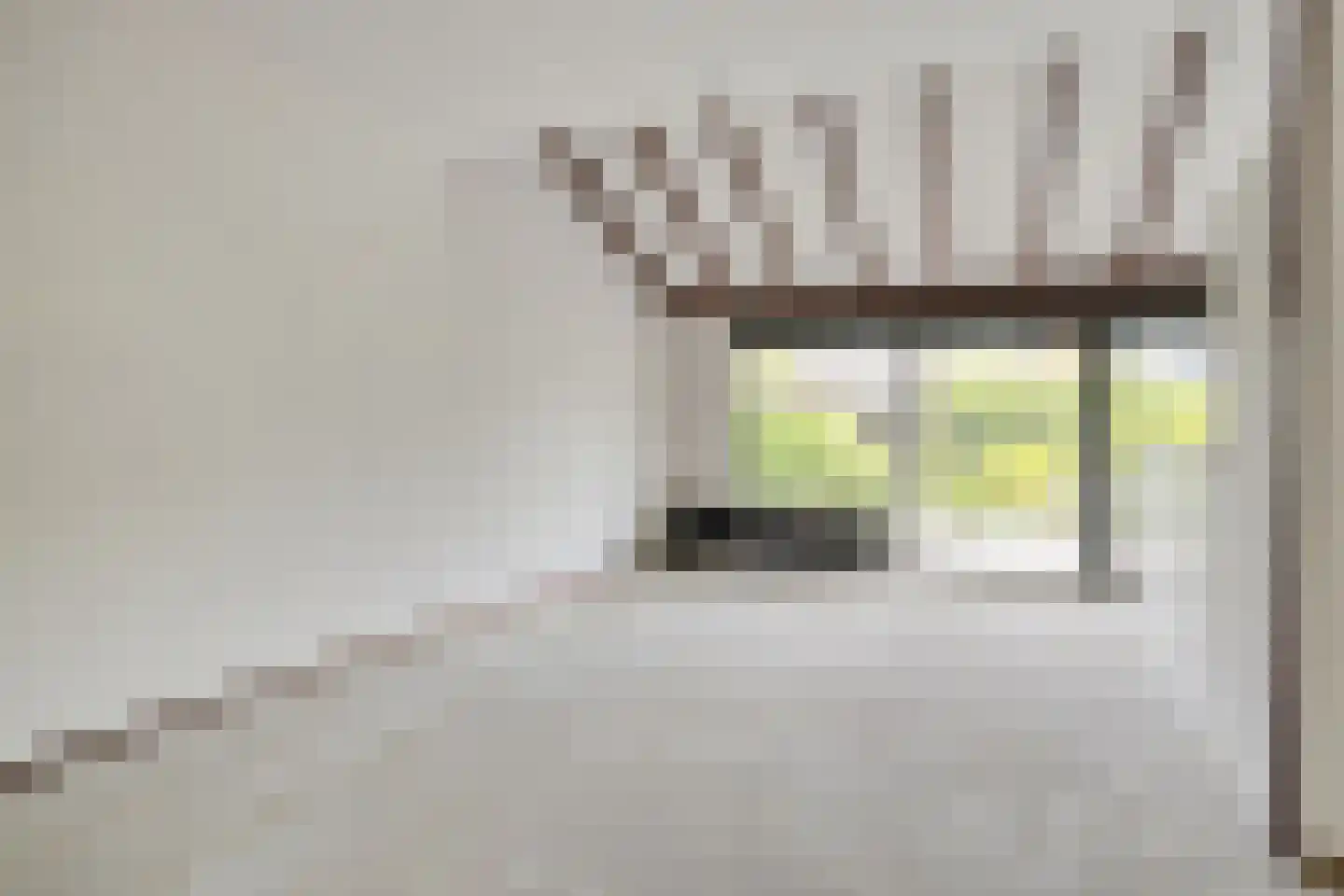 Waterpeper 21 Gouda thumbnail 9