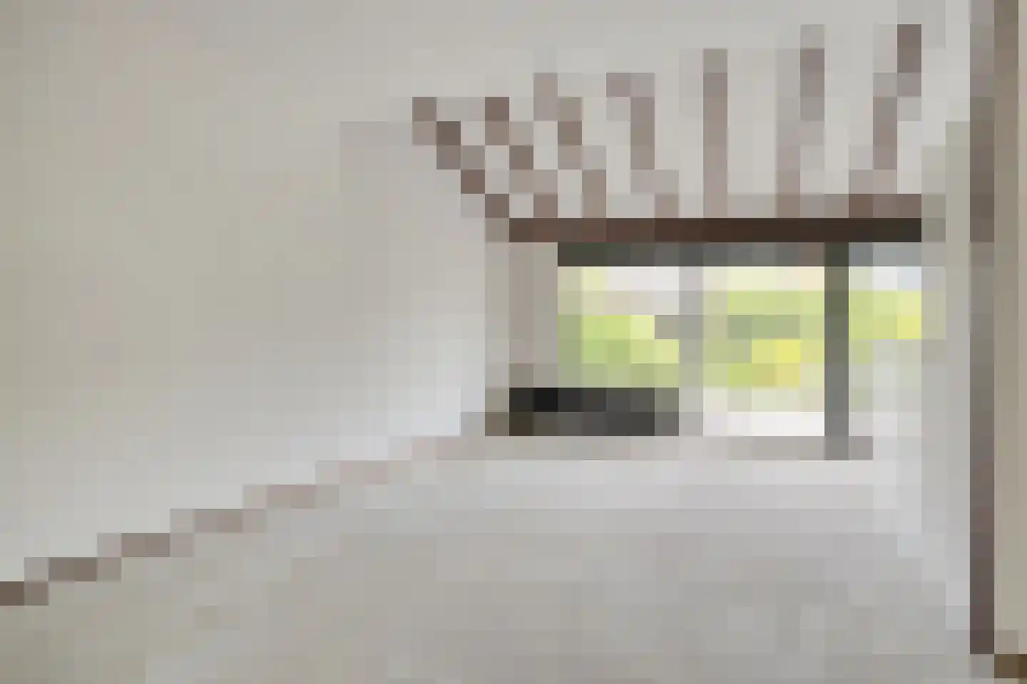 Waterpeper 21 Gouda thumbnail 9