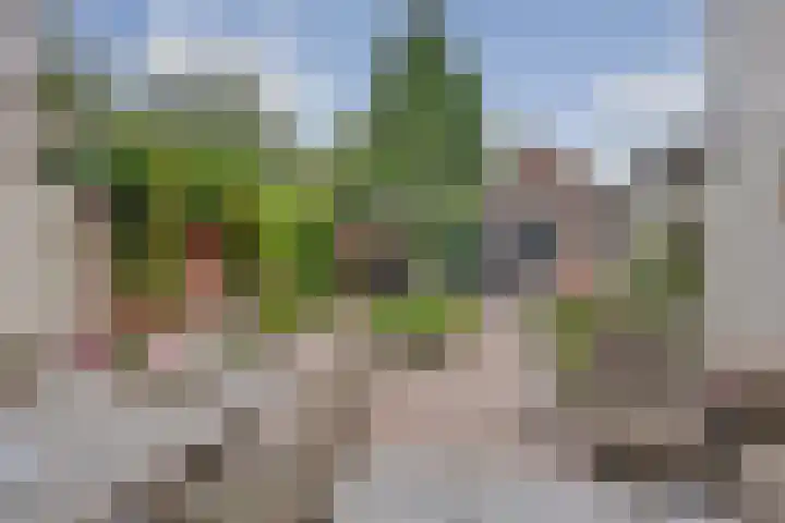 Waterpoort 20 Heusden thumbnail 28