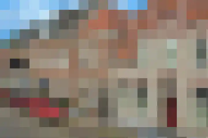 Waterpoort 20 Heusden thumbnail 33