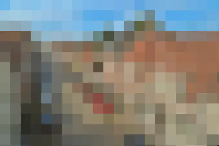 Waterpoort 20 Heusden thumbnail 34