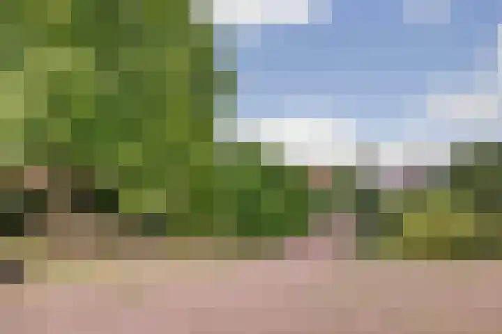 Waterpoort 20 Heusden thumbnail 4