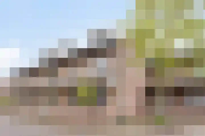 Waterpoort 34 Geldrop thumbnail 11