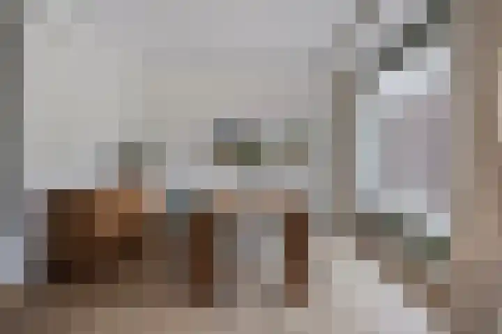 Waterpoort 34 Geldrop thumbnail 20