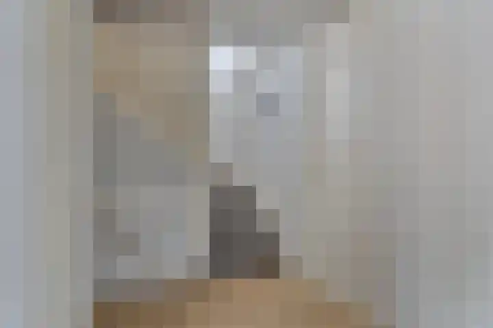 Waterpoort 34 Geldrop thumbnail 26