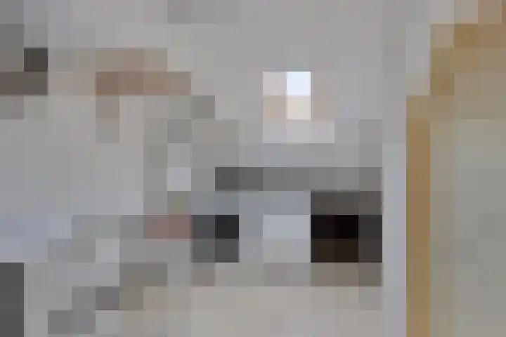 Waterpoort 34 Geldrop thumbnail 36