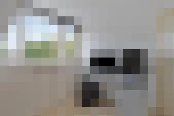 Waterpoort 34 Geldrop thumbnail 40