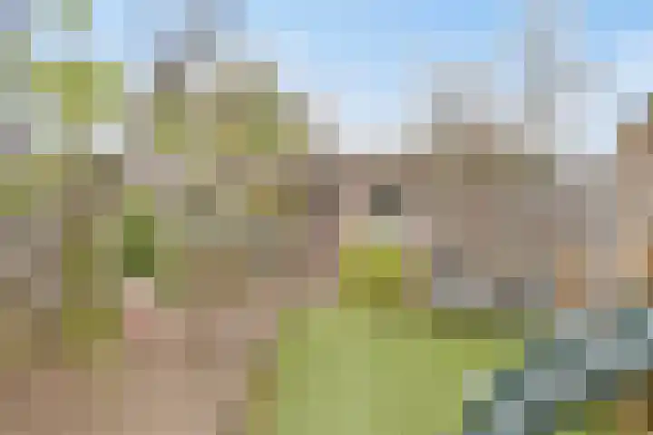 Waterpoort 34 Geldrop thumbnail 43