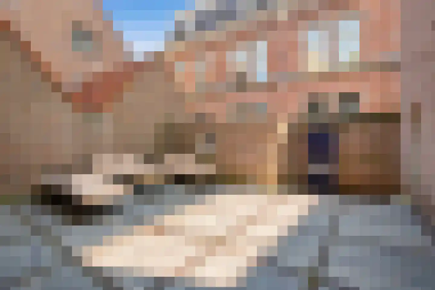 Waterpoort 39 Heusden thumbnail 46