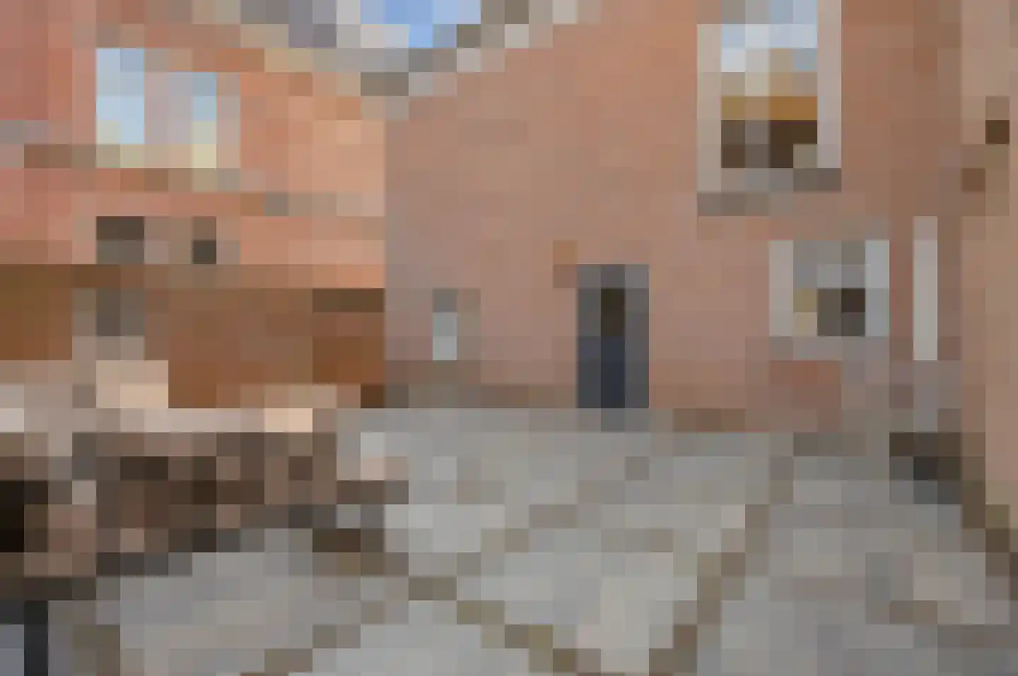 Waterpoort 39 Heusden thumbnail 47