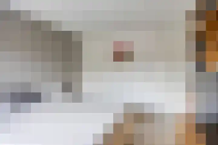 Waterpoort 41 Geldrop thumbnail 11
