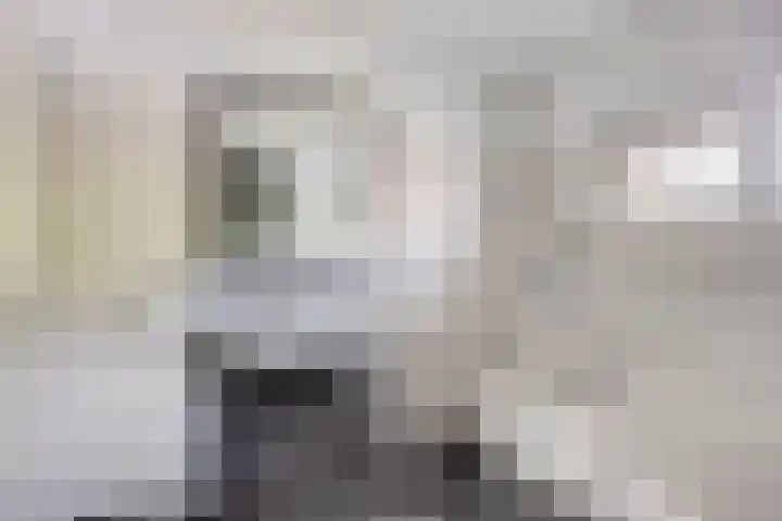 Waterpoort 41 Geldrop thumbnail 12