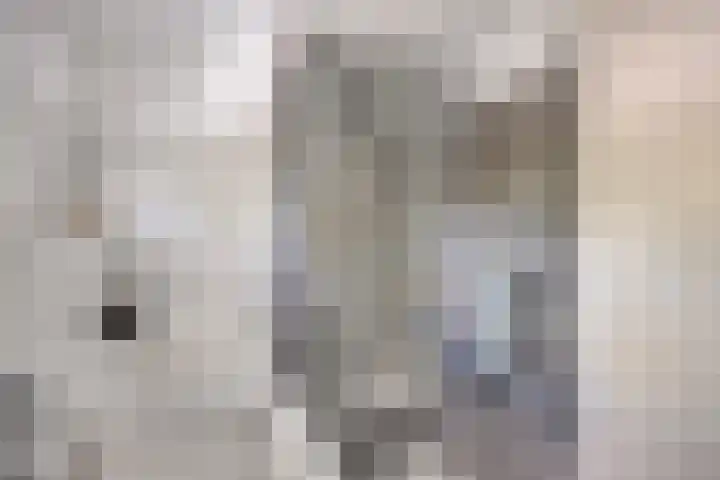Waterpoort 41 Geldrop thumbnail 13