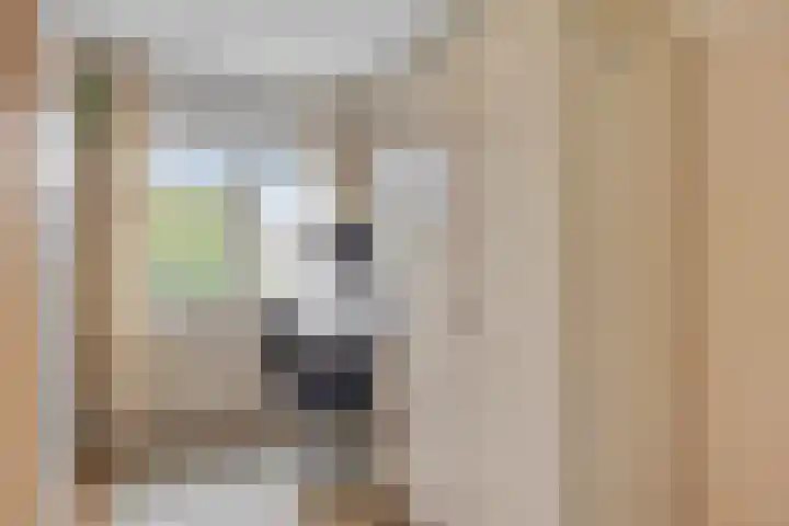 Waterpoort 41 Geldrop thumbnail 15