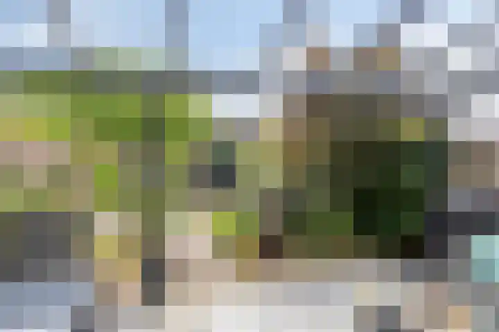 Waterpoort 41 Geldrop thumbnail 19
