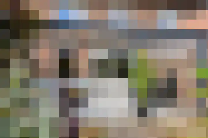 Waterpoort 41 Geldrop thumbnail 20