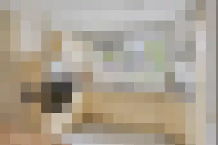 Waterpoort 41 Geldrop thumbnail 8