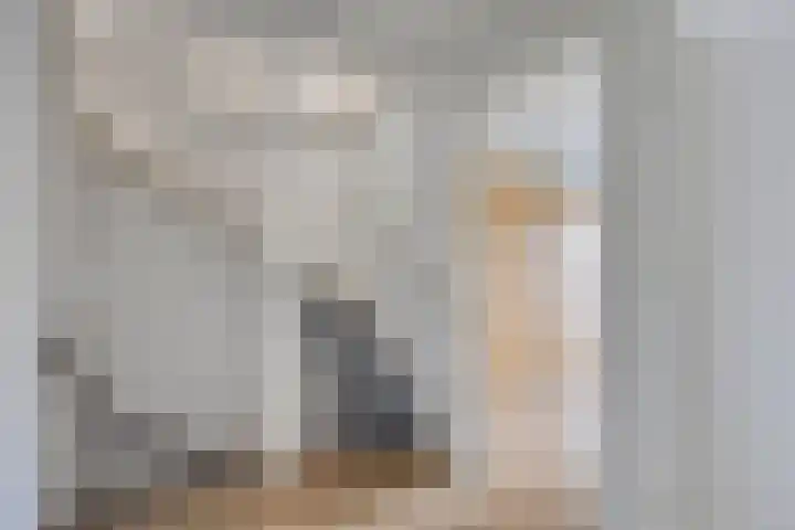 Waterpoort 41 Geldrop thumbnail 9