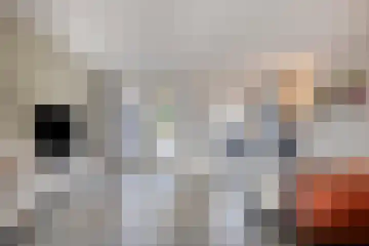 Waterpoort 6 Goedereede thumbnail 10