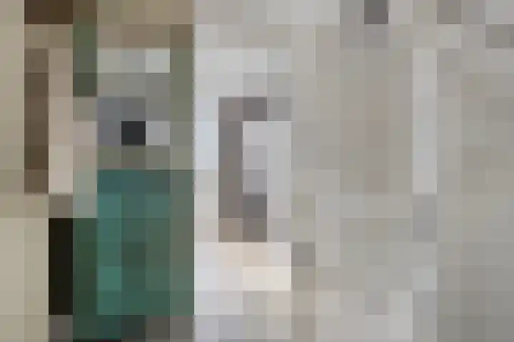 Waterpoort 6 Goedereede thumbnail 13