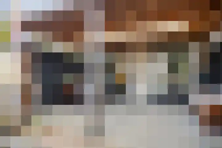 Waterpoort 6 Goedereede thumbnail 24