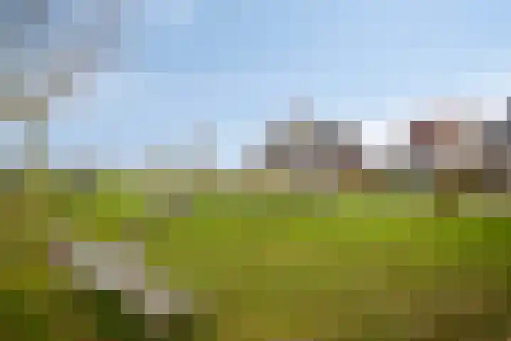 Waterpoort 6 Goedereede thumbnail 33