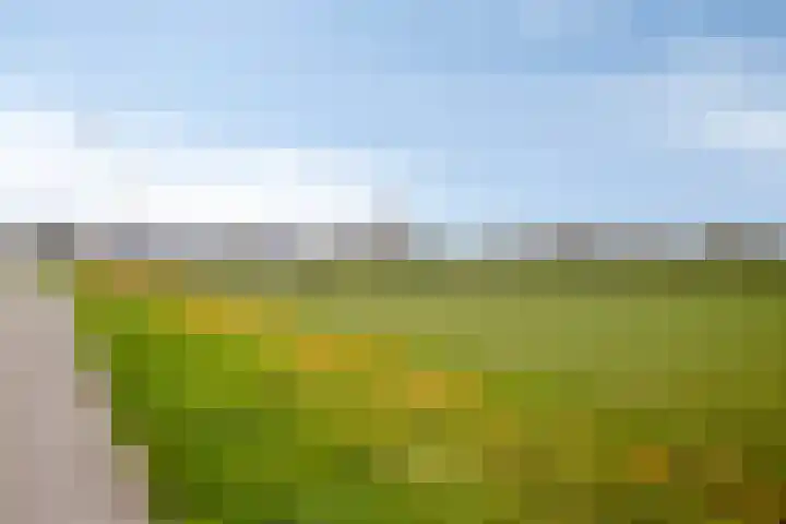 Waterpoort 6 Goedereede thumbnail 34