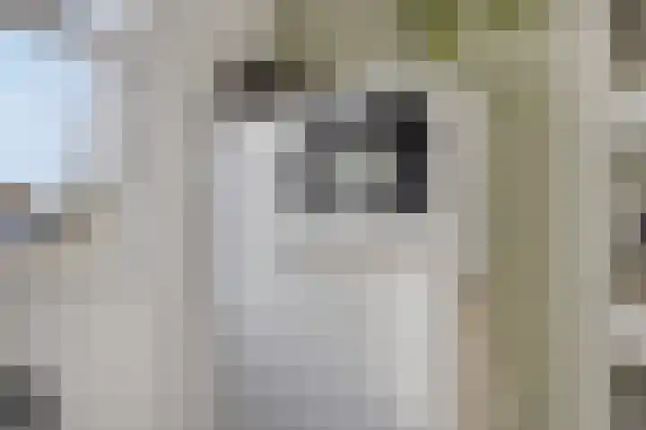 Waterpoort 6 Goedereede thumbnail 8