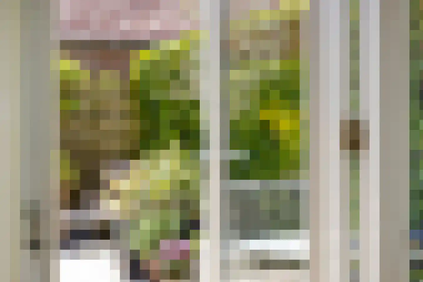 Waterpoortstraat 5 Zierikzee thumbnail 9