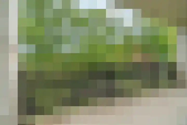 Waterpoortweg 397 Amsterdam thumbnail 10