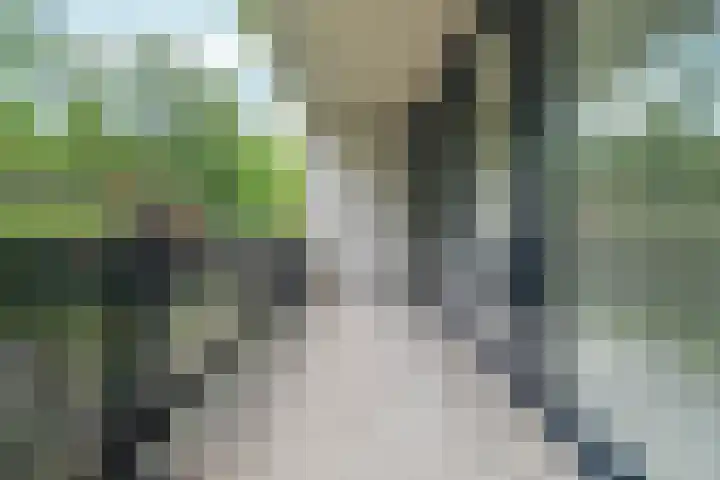 Waterpoortweg 397 Amsterdam thumbnail 11