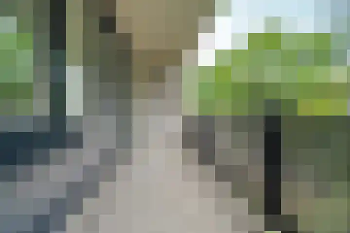 Waterpoortweg 397 Amsterdam thumbnail 12