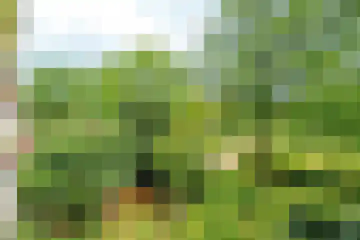 Waterpoortweg 397 Amsterdam thumbnail 13