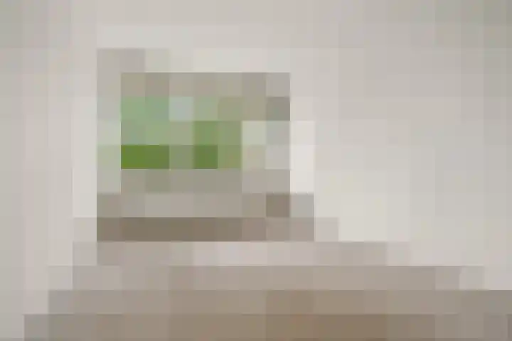 Waterpoortweg 397 Amsterdam thumbnail 18