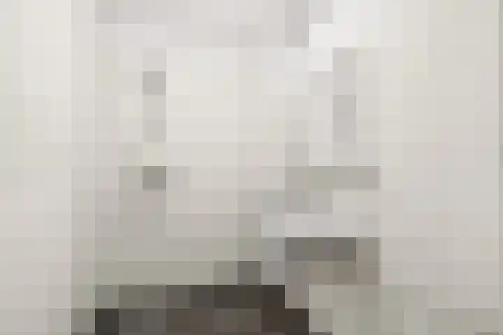 Waterpoortweg 397 Amsterdam thumbnail 20