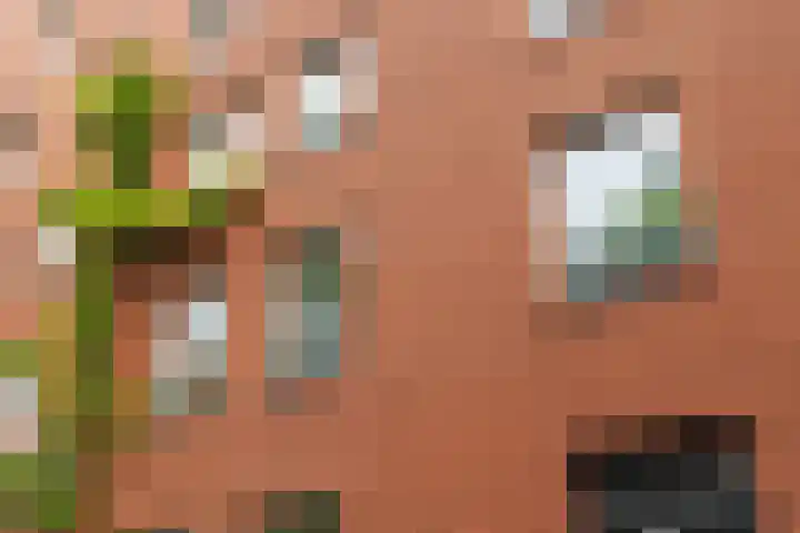 Waterpoortweg 397 Amsterdam thumbnail 24