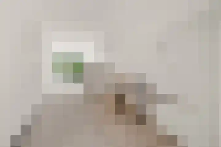 Waterpoortweg 397 Amsterdam thumbnail 6