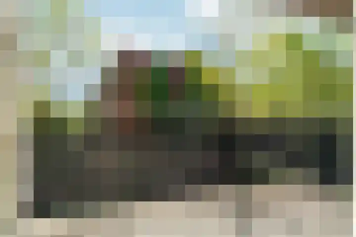 Waterpoortweg 431 Amsterdam thumbnail 10
