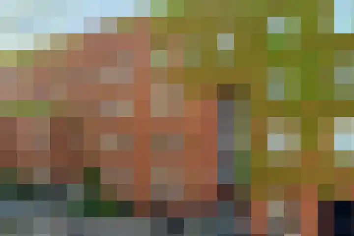Waterpoortweg 431 Amsterdam thumbnail 20