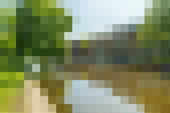 Waterpoortweg 431 Amsterdam thumbnail 23
