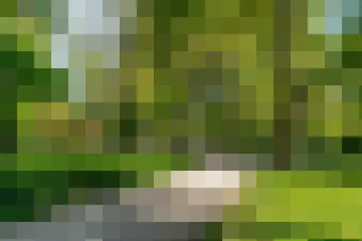 Waterpoortweg 431 Amsterdam thumbnail 24