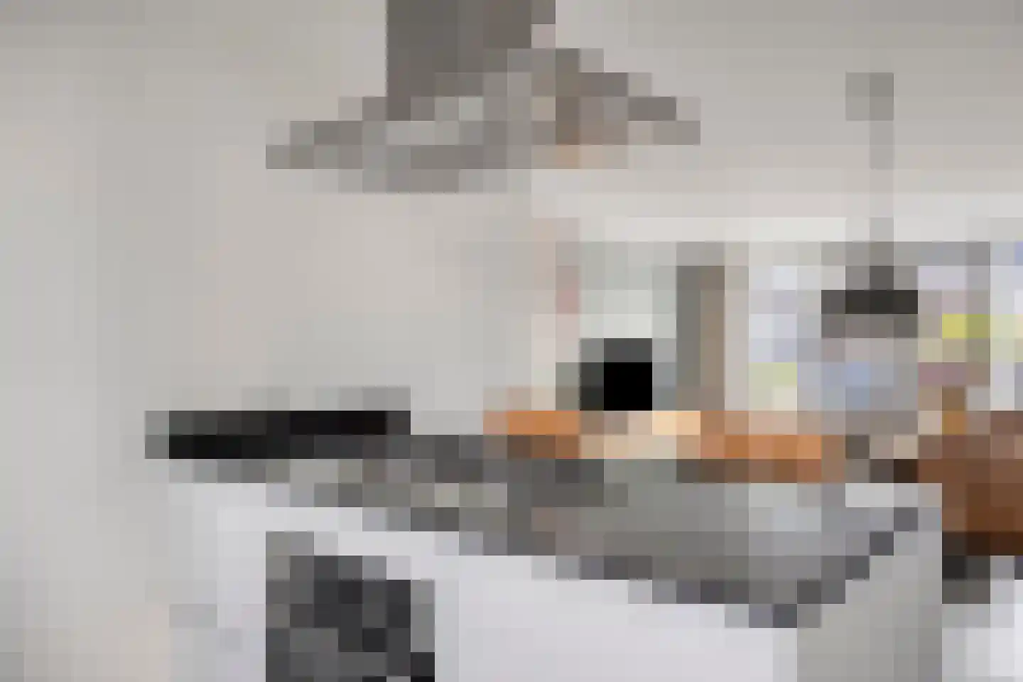 Waterput 10 Cuijk thumbnail 20
