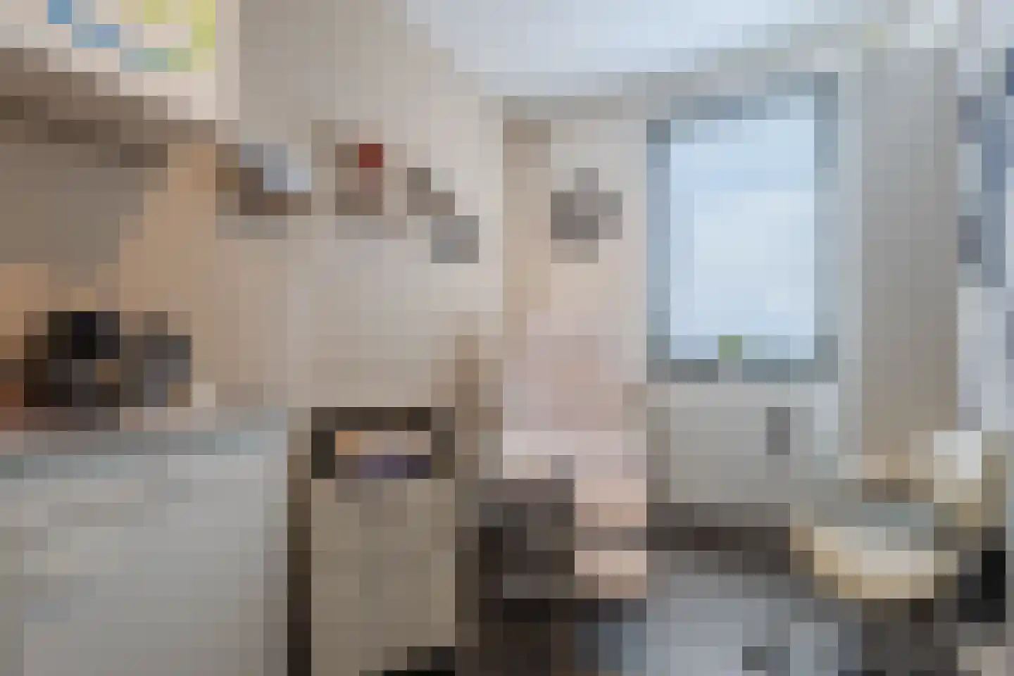 Waterput 16 Cuijk thumbnail 17