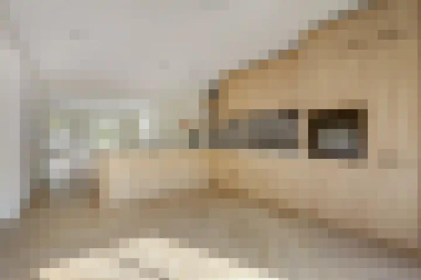 Waterput 2 Wehl thumbnail 24
